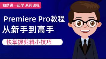 和鼎锐一起学系列课程Premiere Pro教程