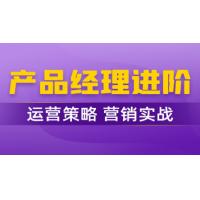 产品经理进阶运营策略与营销实战