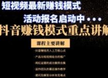 抖音粉丝运营变现实战课程/抖音短视频营销/抖音涨粉流量变现带货
