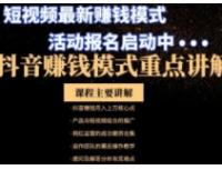 抖音粉丝运营变现实战课程/抖音短视频营销/抖音涨粉流量变现带货